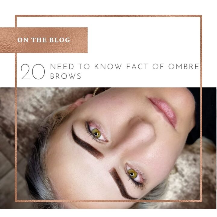 OmbreBrows1